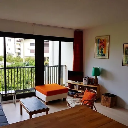 Apartment Ref 541,seignosse Ocean, 3 Pieces, Proche De La Et Des Commerces, 4 Personnes Seignosse