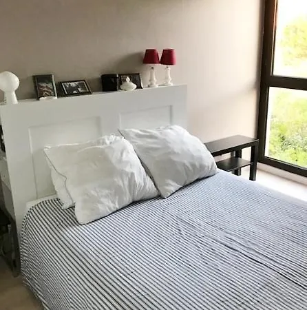 Apartment Ref 541,seignosse Ocean, 3 Pieces, Proche De La Et Des Commerces, 4 Personnes *